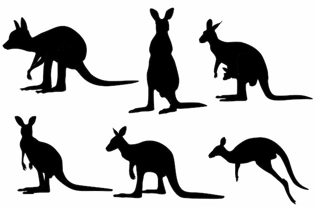 Känguru-Silhouette-Set, Logo, Symbol, endemisch in Australien