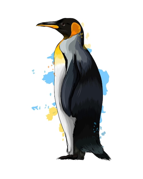 Kaiserpinguin aus einem Spritzer Aquarell