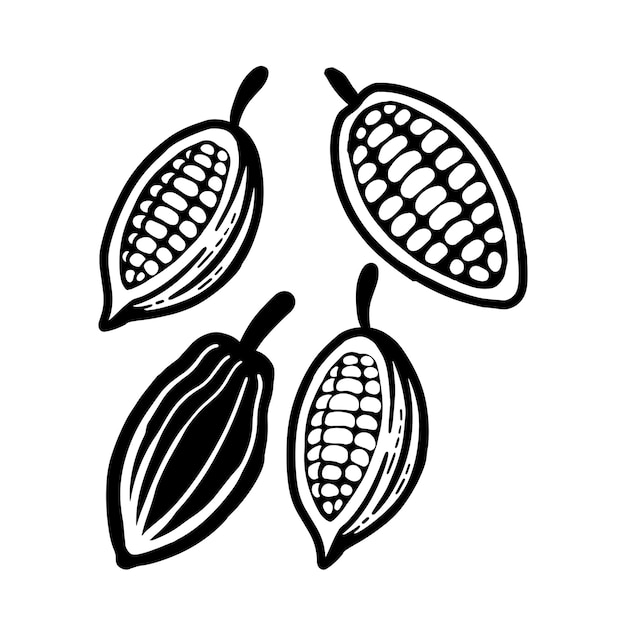 Vektor kakaobohnen schwarzes symbol. getrennt auf weiß.
