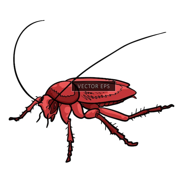 Vektor kakerlaken-insekten-wildtierer-vektor-illustration