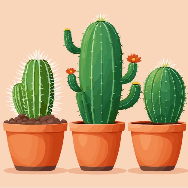 Kaktus in Terrakotta-Töpfen Vektor auf weißem Hintergrund