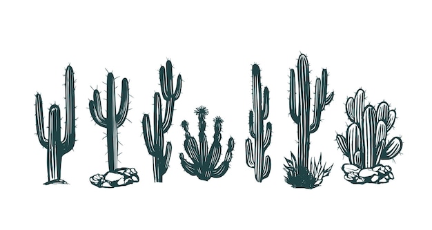 Kaktus set handgezeichnete Illustrationen, Vektor