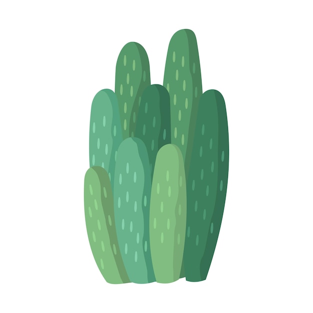 Vektor kaktus und saftige bunte zeichentrickfilme vektorillustration dekorative blumenpflanze isolierte ikone