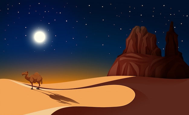 Kamel in der wüste in der nacht