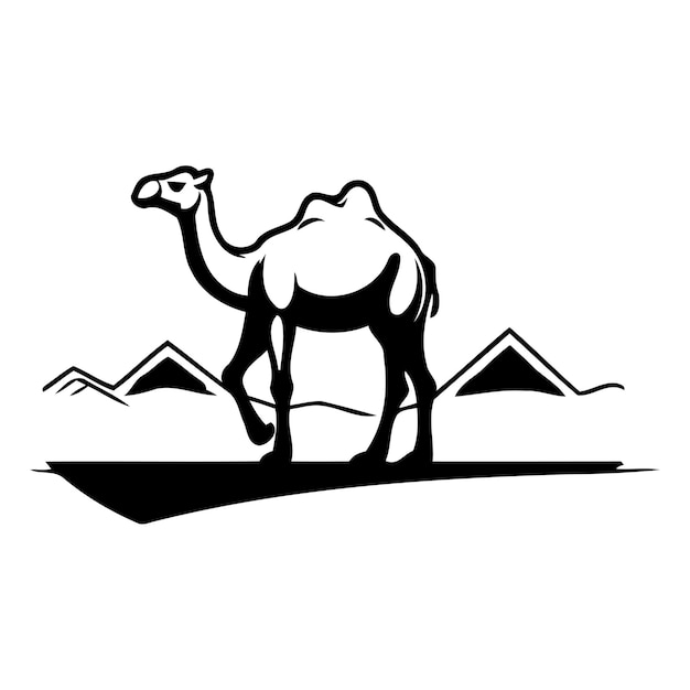 Vektor kamel in der wüste vektorillustration auf weißem hintergrund