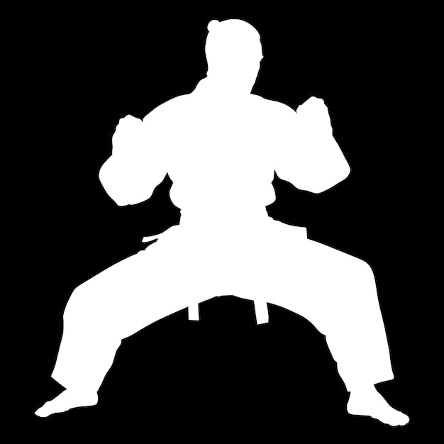 Kampfkunst-Silhouette auf Weiß