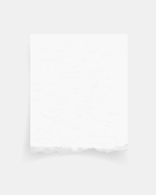 Kanten von gerissenem Papier, Textur von gerissenem Papier, Papierschild, weißes Blatt Papier für den Hintergrund
