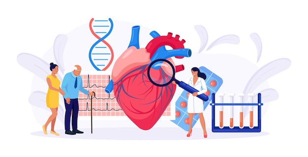 Kardiologie, kardiovaskuläre Herzdiagnostik. Kardiologe Arzt berät ältere Patienten über Herzerkrankungen, medizinische Untersuchung. Transplantationsforschung, Herzinfarkt, Bluthochdruck, Diabetes.