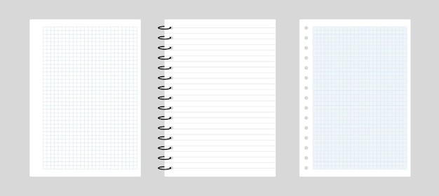 Kariertes papier und eine linie in einem notizbuch. papierhintergrund für das web. leeres notizbuchraster für hausaufgaben