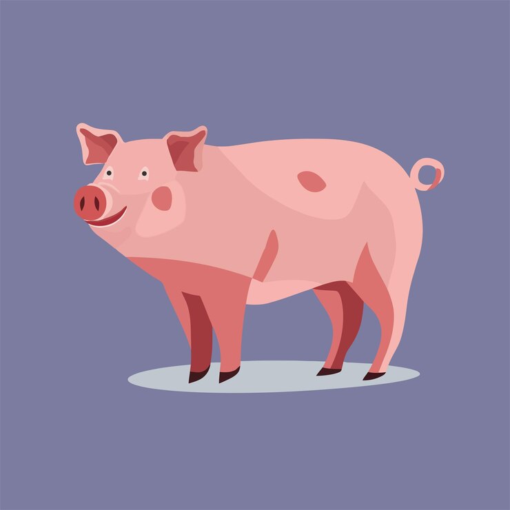 Karikatur von Schwein Vektor flache Illustration