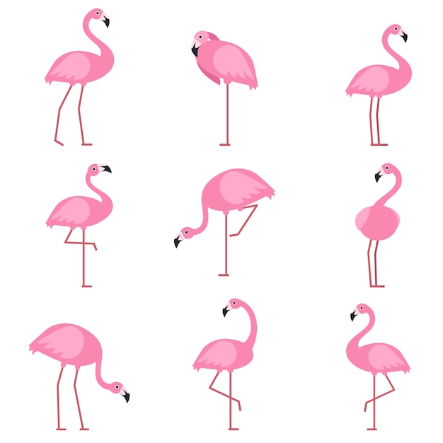 Karikaturbilder des exotischen rosa Vogelflamingos