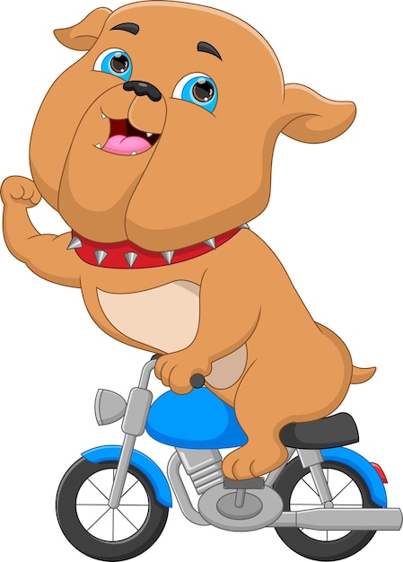 Karikaturbulldogge, die ein motorrad fährt