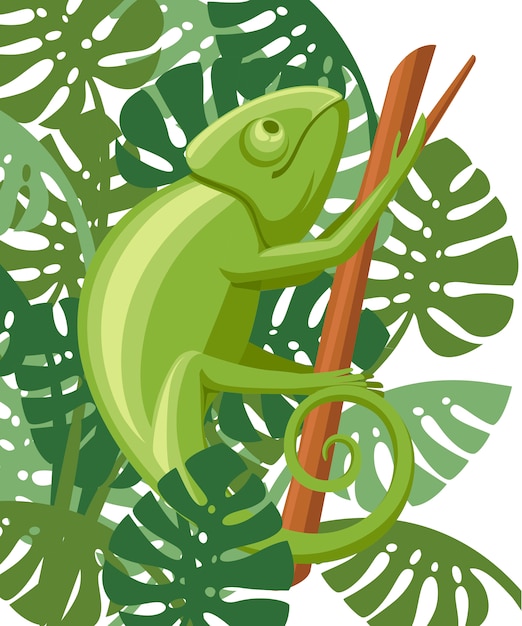 Karikaturchamäleon klettern auf zweig. kleine grüne eidechse. chamäleon-logo-design, flache ikone. illustration auf weißem hintergrund mit grünen blättern.
