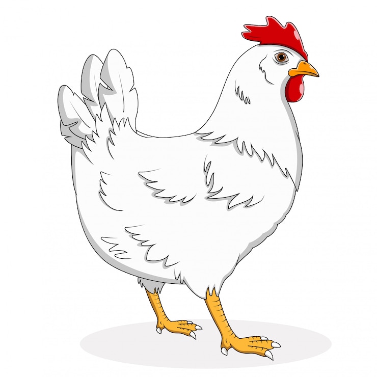Vektor karikaturhenne auf weißem hintergrund