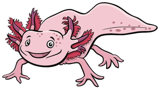 Karikaturillustration des axolotl-wassertiercharakters