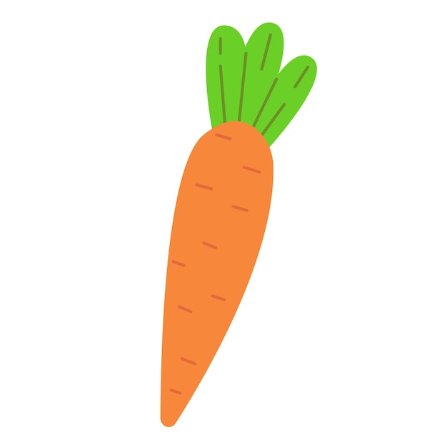 Karotte mit tops in einem niedlichen cartoon-stil vector food illustration