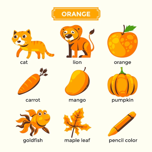 Karteikarten zum Erlernen von Orangenfarben und Vokabeln
