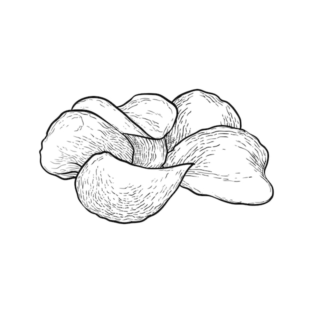 Vektor kartoffelchips isoliert auf weißem hintergrund handgezeichnete vektorillustration