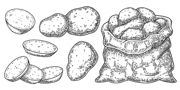 Kartoffeln in verschiedenen formen und in einer handgezeichneten skizzenvektorillustration einer tasche