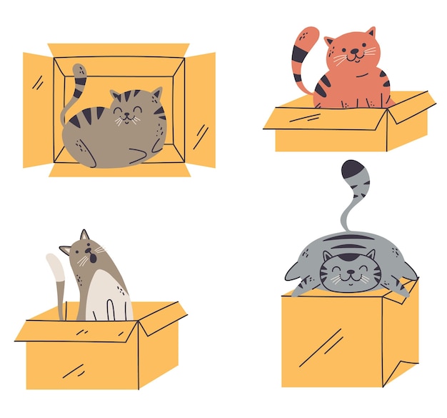 Katze im kastenhaustier nettes tiergekritzellinie kunstartkonzeptkarikatur-grafikdesignelement