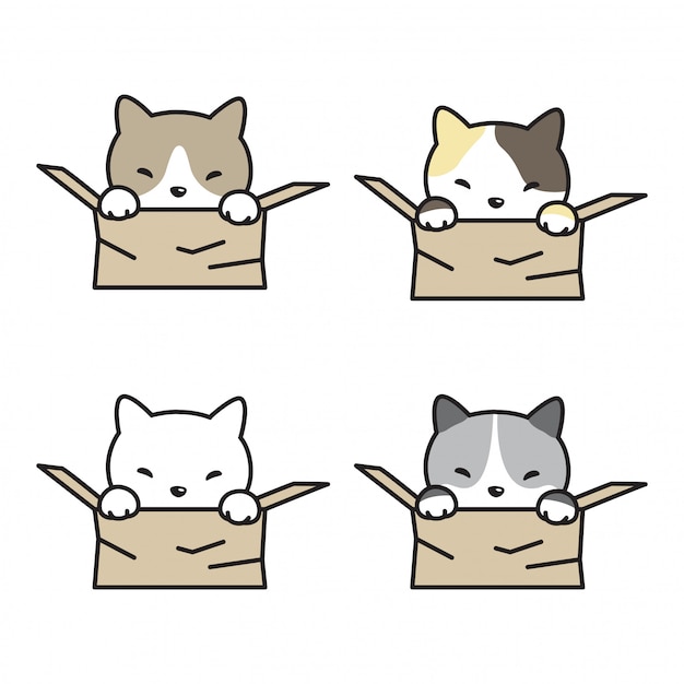 Katze kätzchen box cartoon