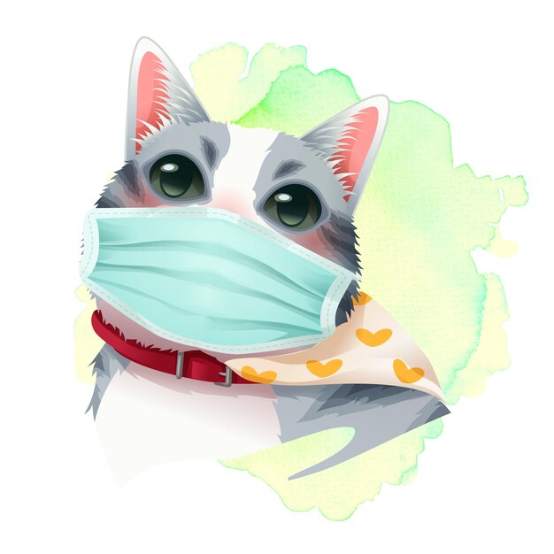 Katze mit medizinischer maske