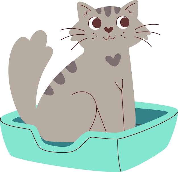 Katze sitzt im Bett des Haustieres