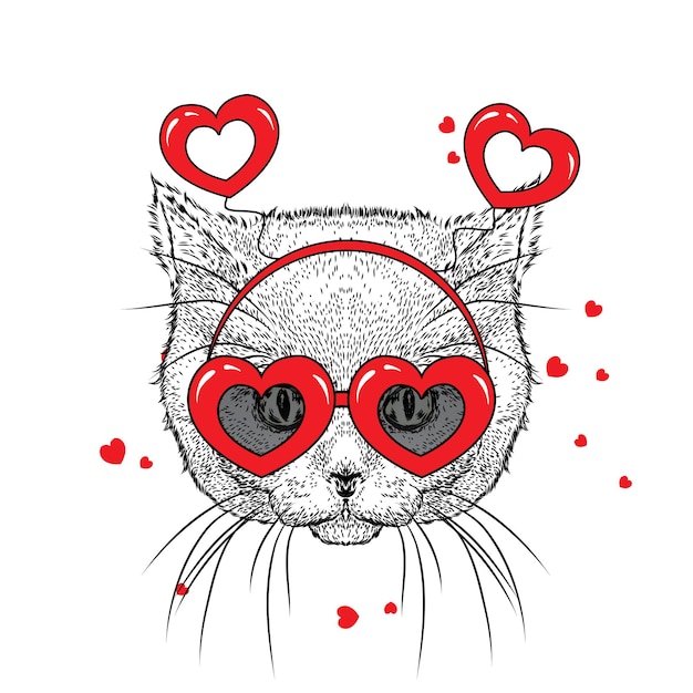 Katze und herzen zum valentinstag