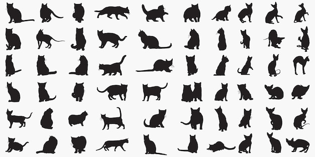 Katzen Silhouetten