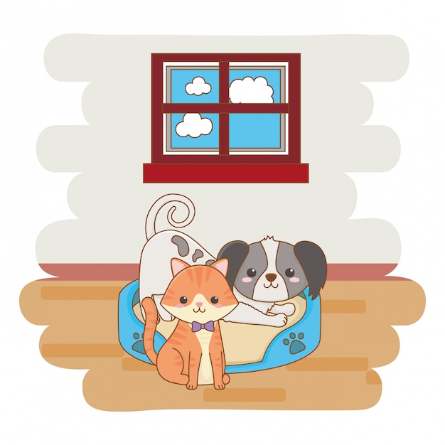 Katzen- und Hundekarikaturentwurf