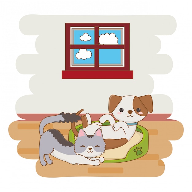 Katzen- und Hundekarikaturentwurf