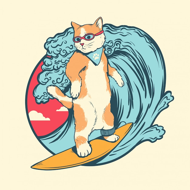 Katzensurfen