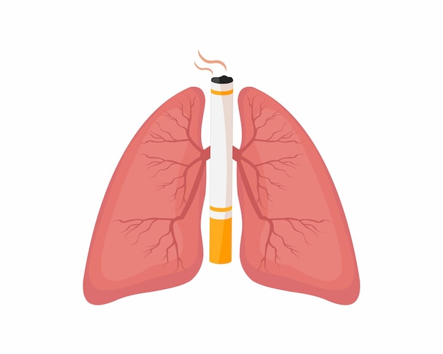 Vektor kein rauchen und keine wirkung von tabak auf die lunge und zigarettenrauch auf die lunge