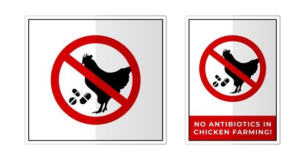 Vektor keine antibiotika in der hühnerzucht schild label symbol symbol vektor illustration