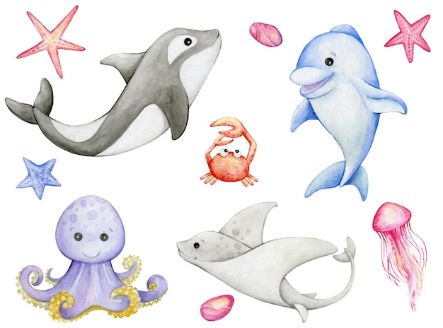 Killerwal, Delfin, Stachelrochen, Krabbe, Oktopus, Sternfisch, Quallen, Aquarell, Meerestiere in Zeichentrickfilmen