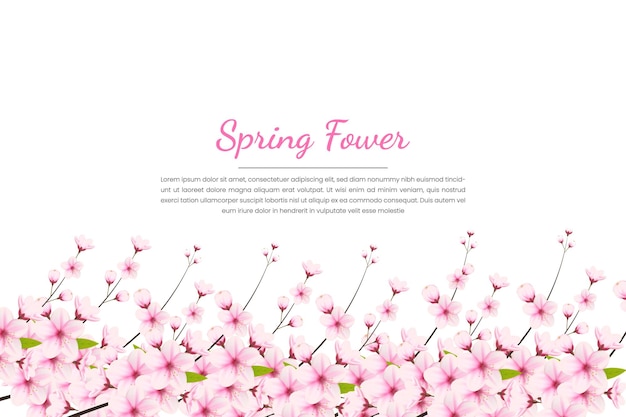 Vektor kirschblüten-hintergrund mit sakura-blume. aquarell-kirschblüten-vektor. kirschblüten-blume
