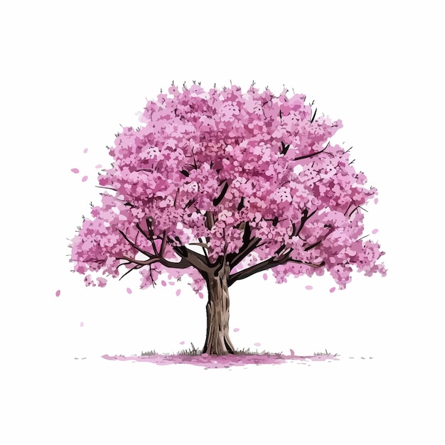 Vektor kirschblüten-vektorkunst