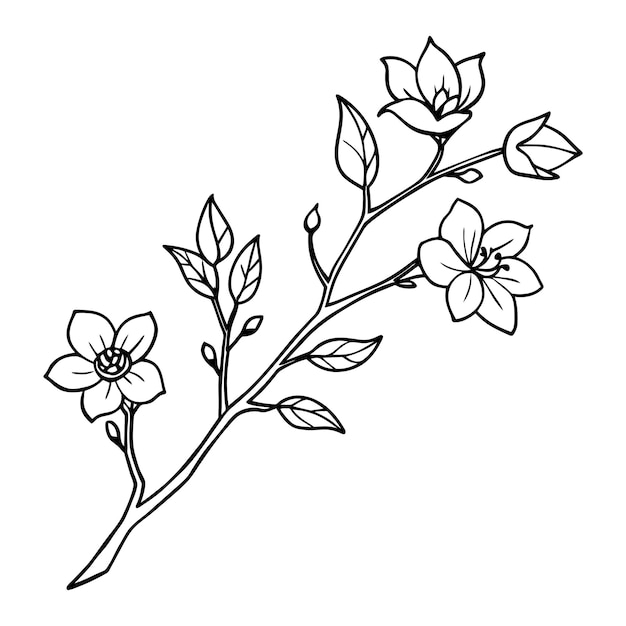 Kirschblütenzweig mit handgezeichneten blühenden Blüten und Blättern
