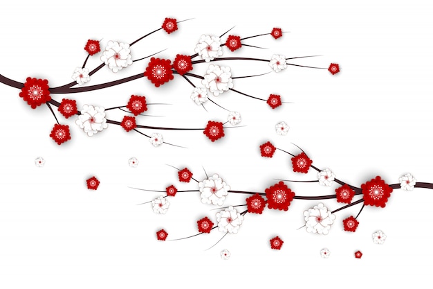 Kirschzweig mit den roten und weißen Blumen für chinesisches neues Jahr