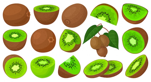 Vektor kiwi-cartoon-set-symbol. illustrationsfrucht auf weißem hintergrund. cartoon set symbol kiwi.