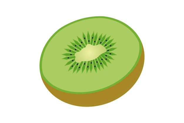 Kiwi-Illustrationsvektor Illustration von Kiwi auf weißem Hintergrund