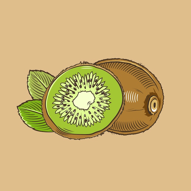 Kiwi im vintage-stil. farbige vektorabbildung