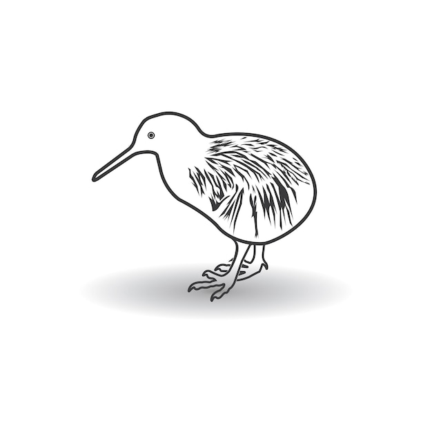 Kiwi-vogel-symbol