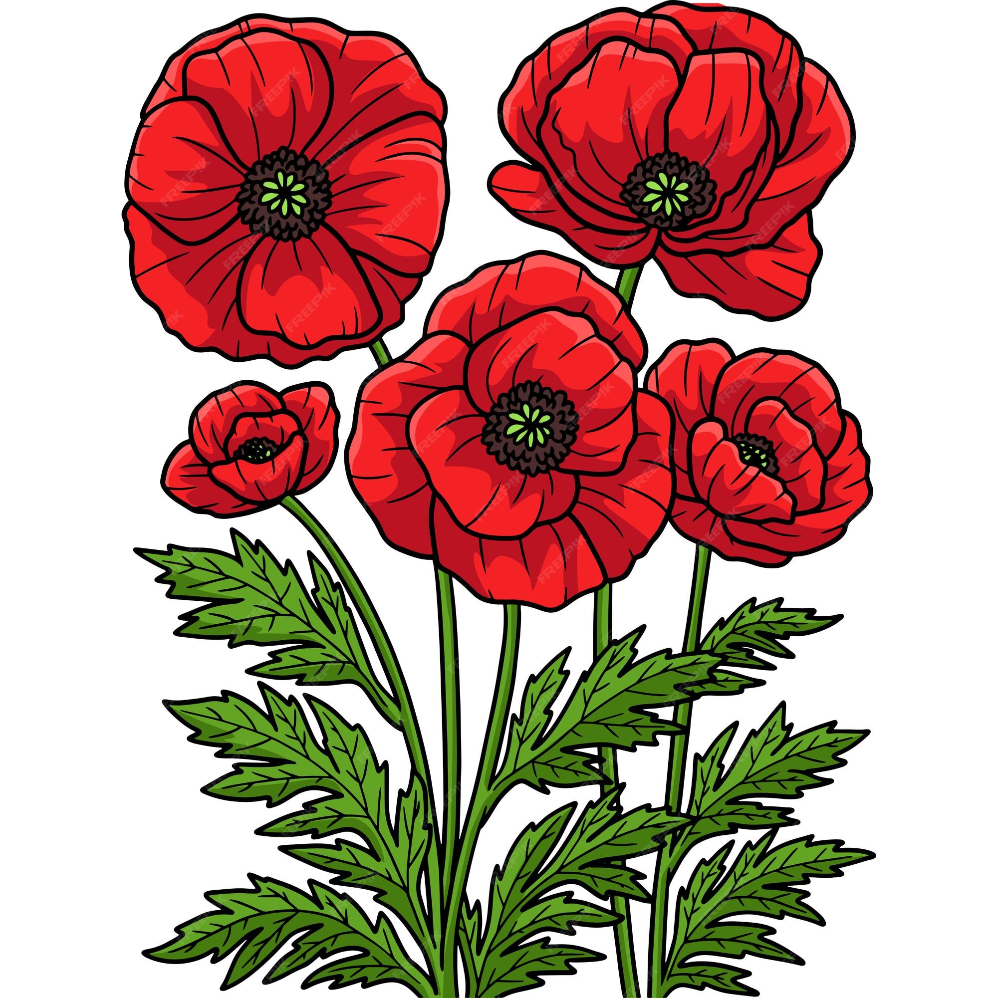 Klatschmohn Blume Cartoon farbige Clipart Premium Vektor