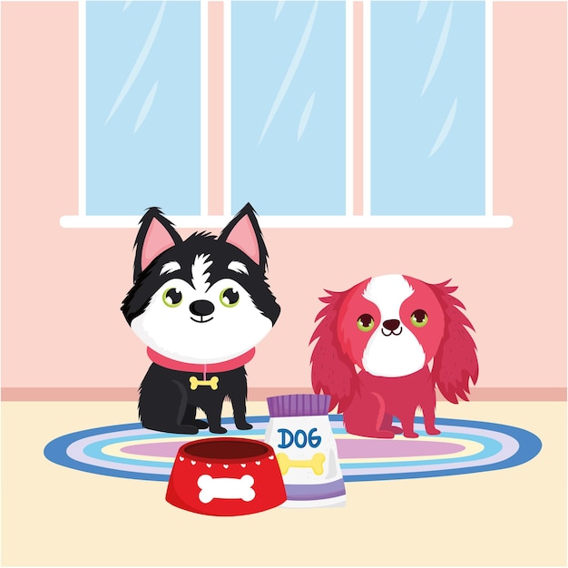 Kleine Hunde und Futter
