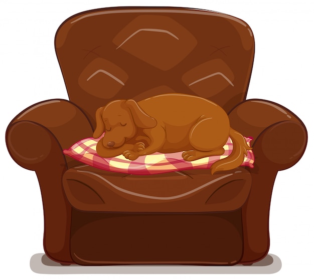 Kleiner hund, der auf braunem sofa schläft