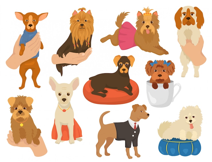Vektor kleiner hund ein kleines hündchen haustier charakter niedlichen hundehalsband tier und inländischen jungen welpen auf hand illustration doggish satz hundezucht yorkshire chihuahua freund isoliert auf weißem hintergrund