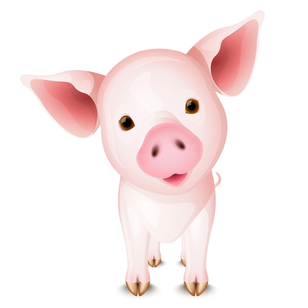 Kleines rosa Schwein isoliert auf weißem Hintergrund