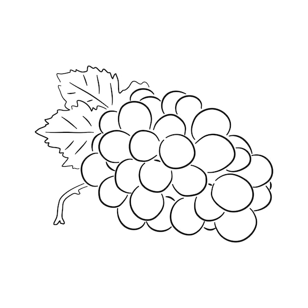 Knoblauch-Doodle-Symbol, handgezeichnete schwarze Skizze, Vektorillustration