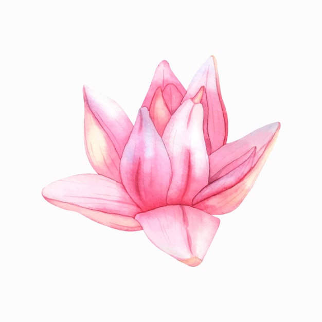Knospen Pink Lotus Aquarell Vektor Illustration tropische Wasserlilie und grün Blätter auf isolierten Hintergrund Hand gezeichnet Blumen für Einladungen Druck und Design